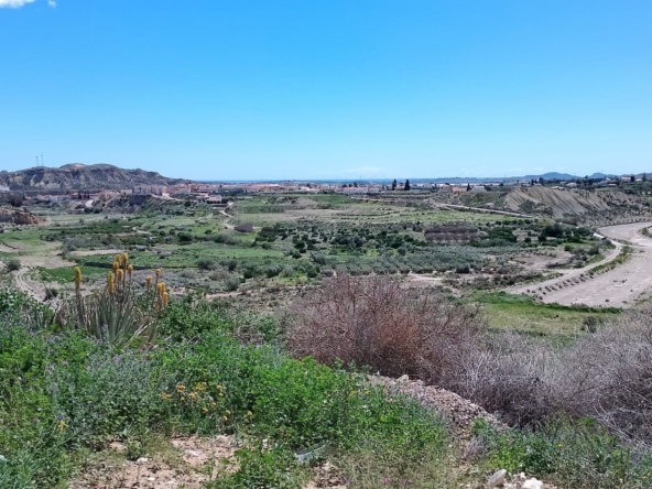South-facing villa with garden and mountain views for sale in Aljáriz, Antas
